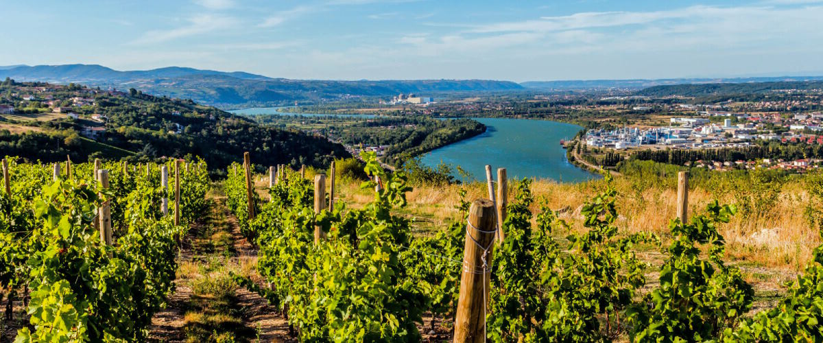 vins du Beaujolais